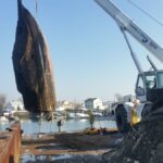 Boat Salvage 8